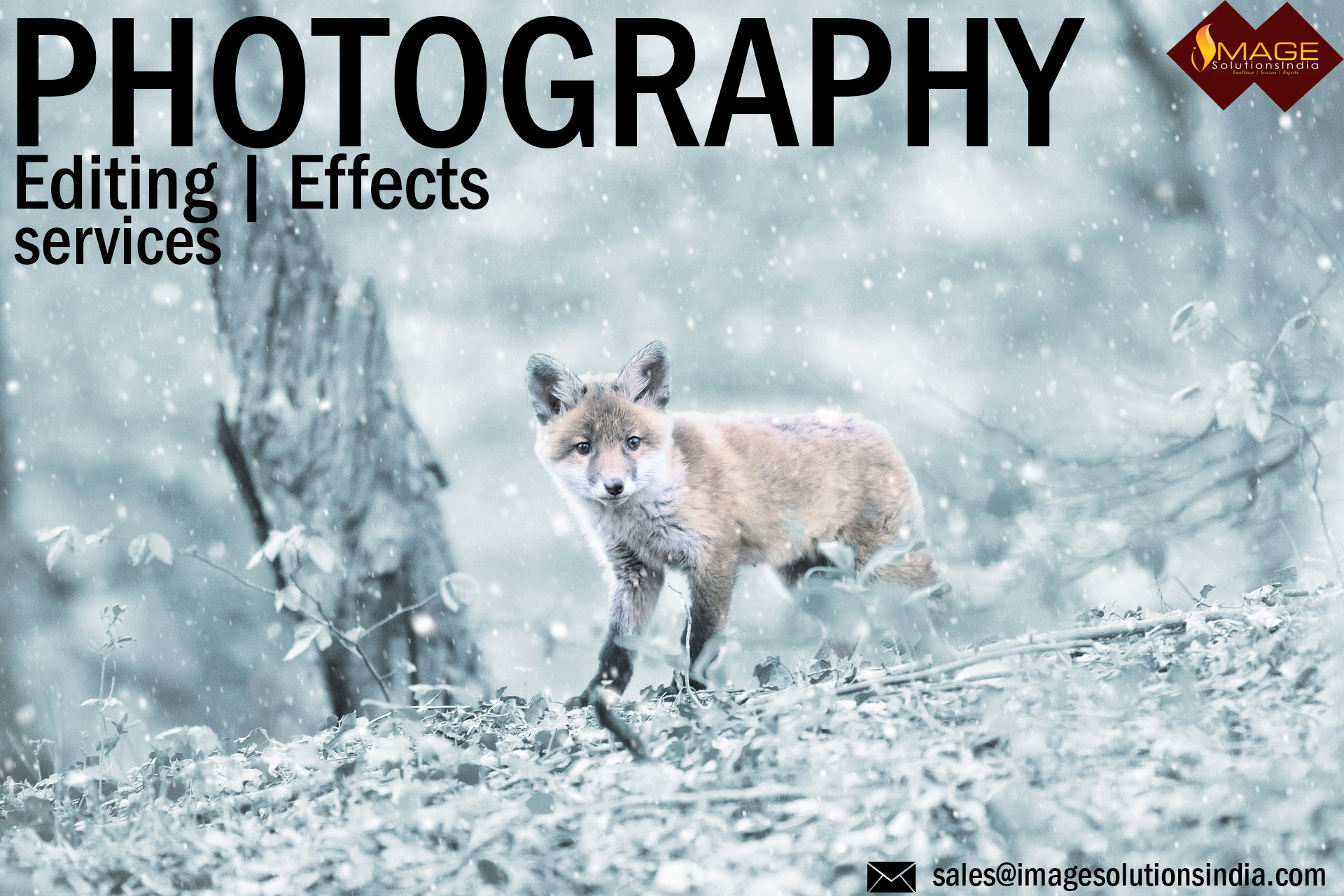 Photo Editing Effects services for Photographes